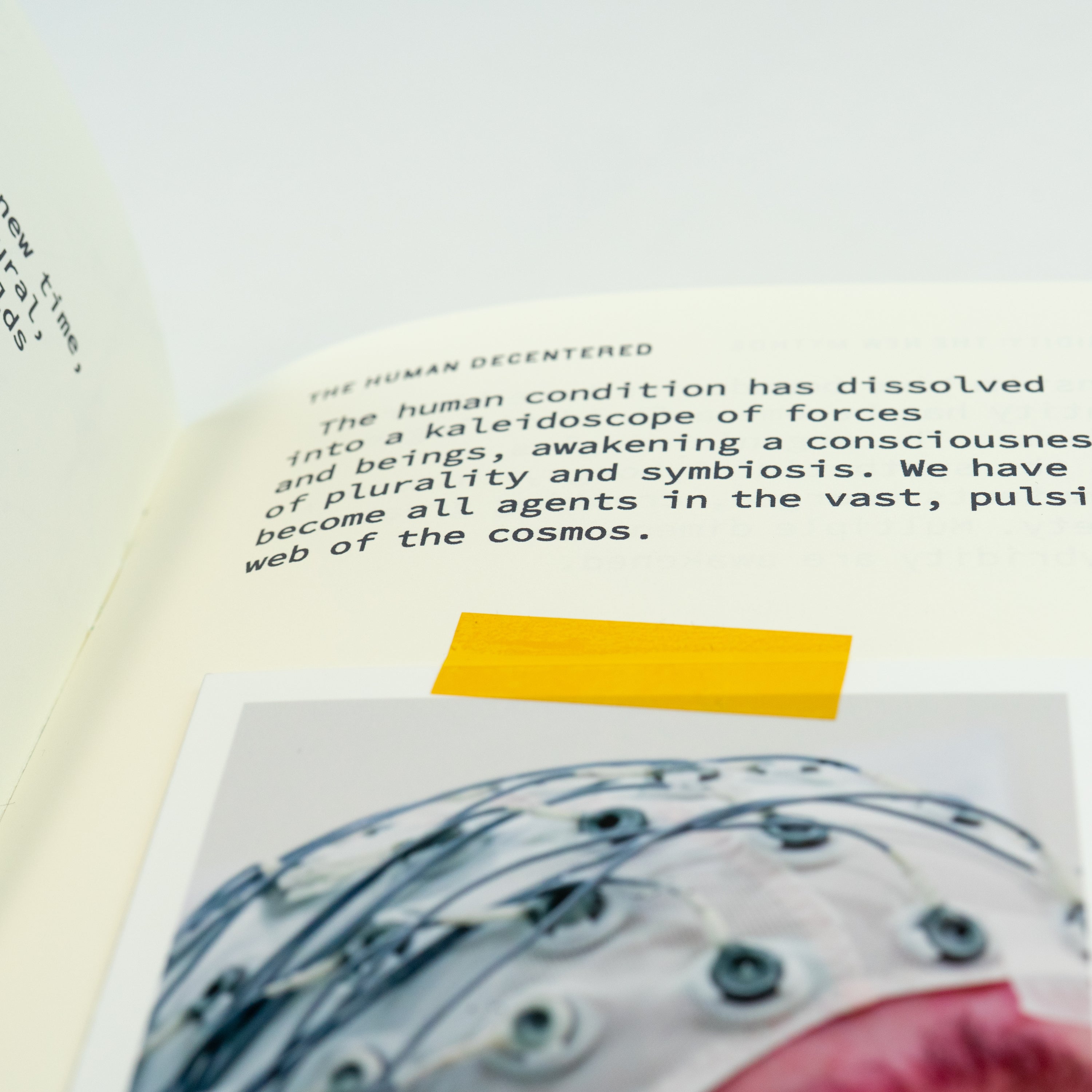 Close-up of an open zine with a photograph on the bottom of the page and text on the top.